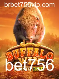 Descubra o Fascinante Mundo de BuffaloWin